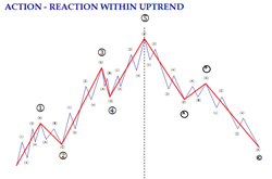 Action - Reaction within uptrend